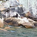 Coast of Abel Tasman NP (5).JPG