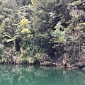 Coast of Abel Tasman NP (6).JPG