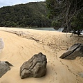 Sandfly Bay (7).JPG