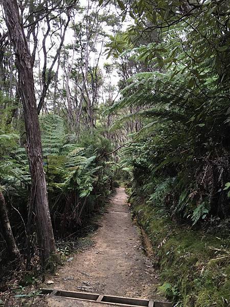 Sandfly Bay (10).JPG