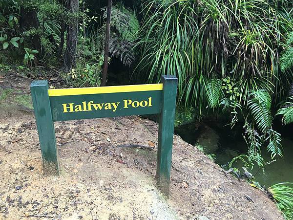 Halfway Pool (1).JPG