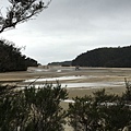 Torrent Bay (21).JPG