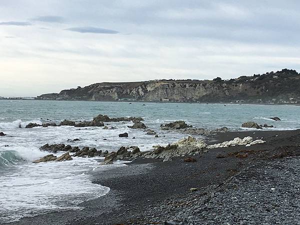 Coast of Kaikoura (15).JPG