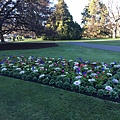  Christchurch Botanic Gardens (6).JPG