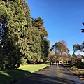 Christchurch Botanic Gardens (8).JPG