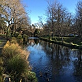 Christchurch Botanic Gardens (12).JPG