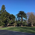 Christchurch Botanic Gardens (13).JPG