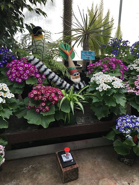  Christchurch Botanic Gardens (21).JPG