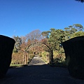 Christchurch Botanic Gardens (40).JPG