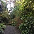 Christchurch Botanic Gardens (45).JPG