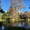 Christchurch Botanic Gardens (46).JPG
