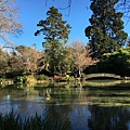 Christchurch Botanic Gardens (47).JPG