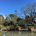 Christchurch Botanic Gardens (50).JPG