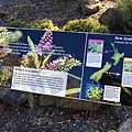 Christchurch Botanic Gardens (51).JPG