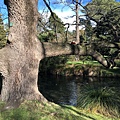 Christchurch Botanic Gardens (54).JPG