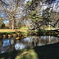 Christchurch Botanic Gardens (55).JPG