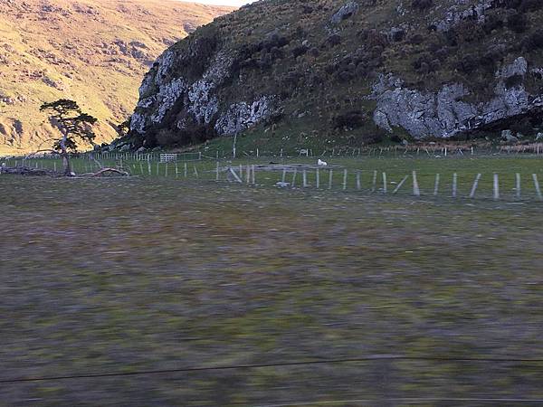 往返Akaroa (2).JPG