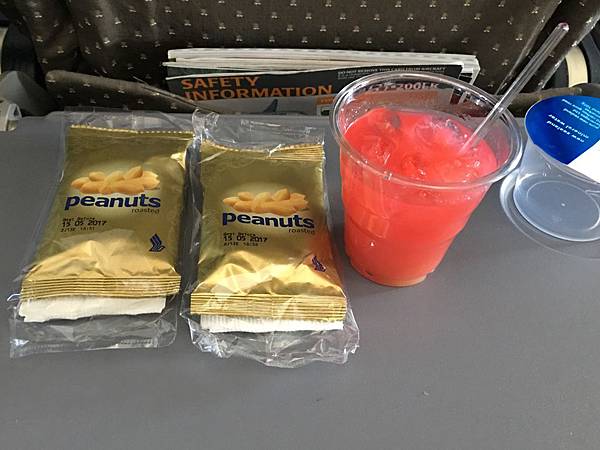 Singapore Airlines (3).JPG