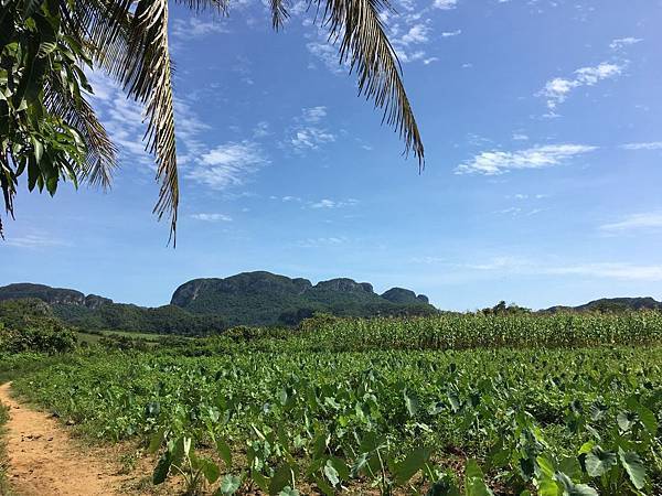 雲尼斯谷健行 (47).JPG