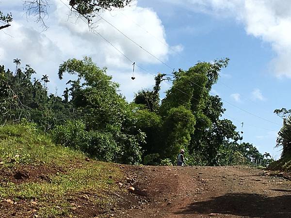 El Yunque (11).JPG