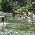 El Yunque (16).JPG