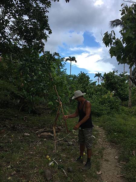 El Yunque (42).JPG