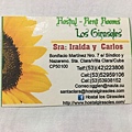 Hostal Los Girasoles (7).JPG