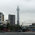 Tokyo 街頭巷尾 (1).JPG