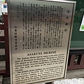 淺草寺 (51).JPG