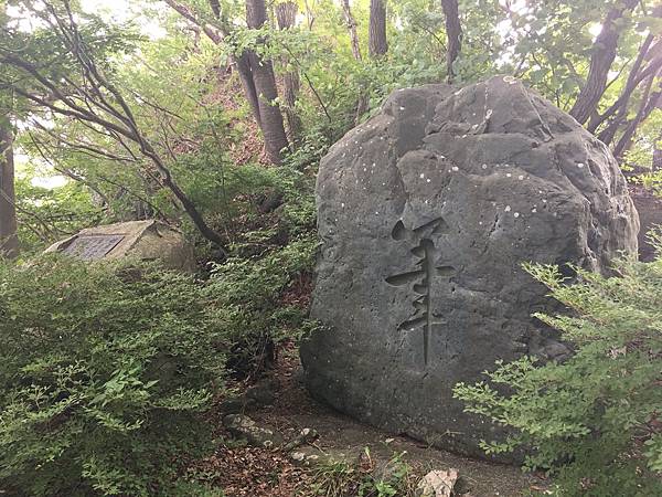 河口湖步道 (2).JPG