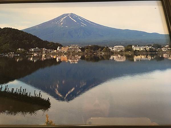 河口湖步道(28).JPG