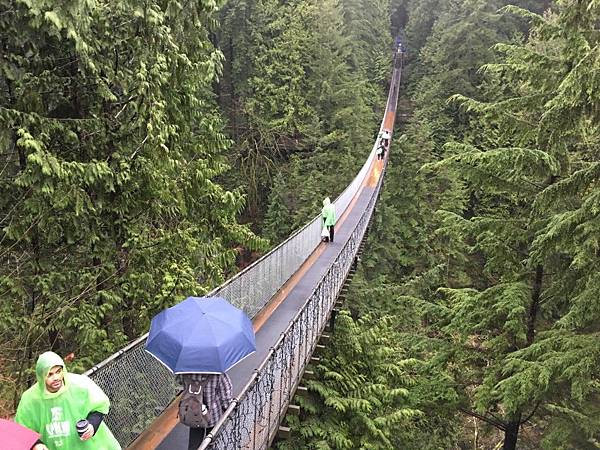  Capilano Suspension Bridge  (15).JPG