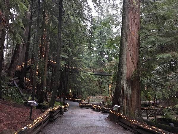  Capilano Suspension Bridge  (21).JPG