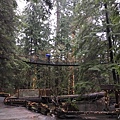  Capilano Suspension Bridge  (22).JPG