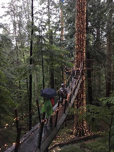  Capilano Suspension Bridge  (25).JPG