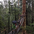  Capilano Suspension Bridge  (25).JPG