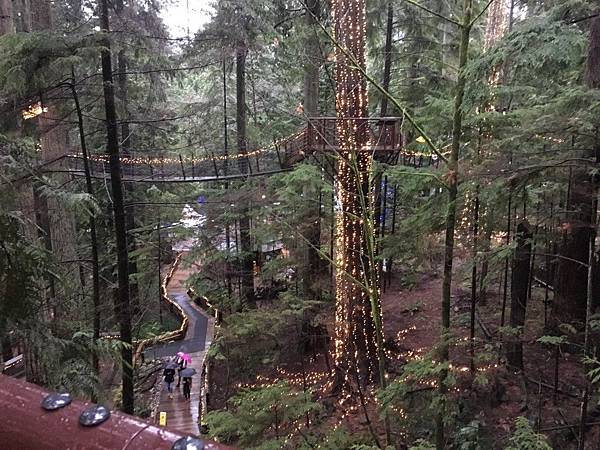  Capilano Suspension Bridge  (26).JPG