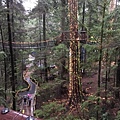  Capilano Suspension Bridge  (26).JPG