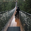  Capilano Suspension Bridge  (27).JPG