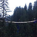  Capilano Suspension Bridge  (28).JPG