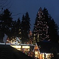  Capilano Suspension Bridge  (33).JPG