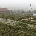 Sapa trekking (14).JPG