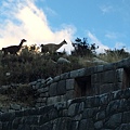 Tambomachay (5).JPG