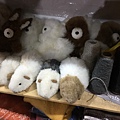 Alpaca製品專賣店 (4).JPG