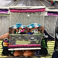 Alpaca製品專賣店 (2).JPG