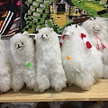 Alpaca製品專賣店 (3).JPG
