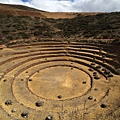 Moray 摩瑞 (4).JPG