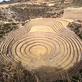 Moray 摩瑞 (1).JPG