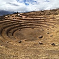 Moray 摩瑞 (6).JPG