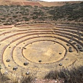 Moray 摩瑞 (3).JPG